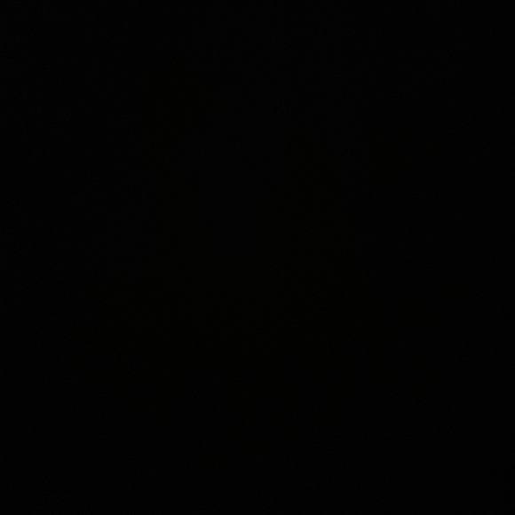 Meet your Posher, Aiden - Picture 1 of 1